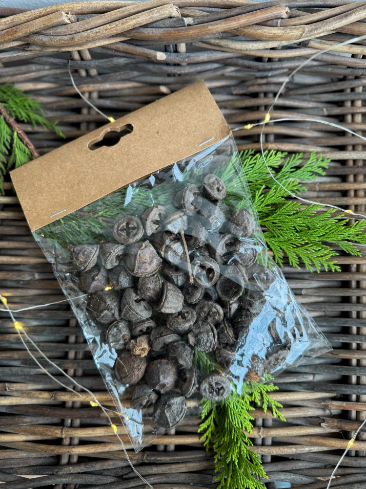 Eukalyptové plody - přírodní (100 g)