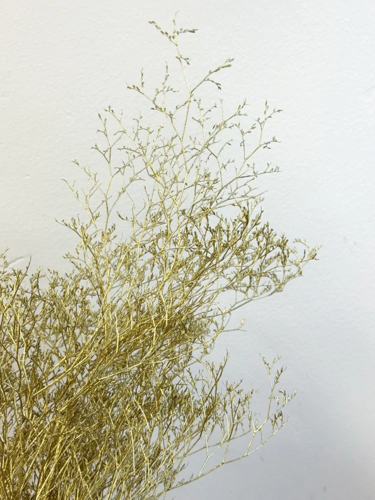 Zlatá statice - svazek 