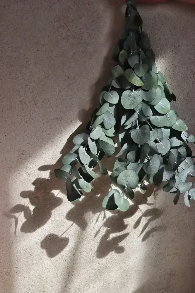 Stabilizovaný Eukalyptus Espir zelený