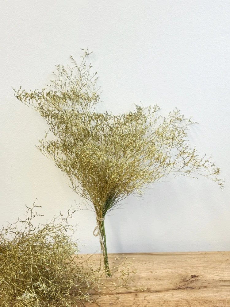 Zlatá statice - svazek 