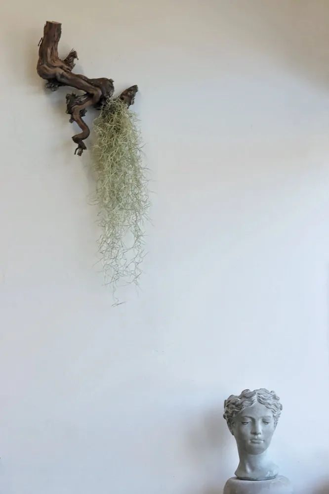 Obal k osázení Hlava #2