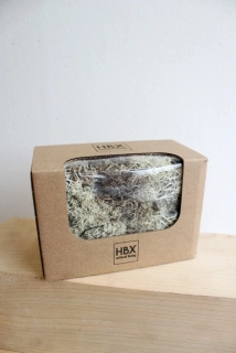 Islandský stabilizovaný lišejník - bílý (50 g)