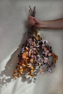 Stabilizovaný Eukalyptus Espir v tónech podzimu