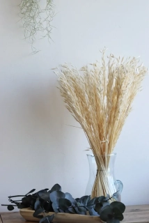 Oves bělená - velký svazek 