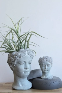 Obal k osázení Hlava #2 (velká)