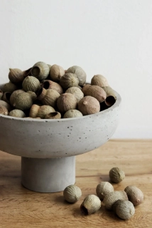 Přírodní plody Bellgums loose balení 5 ks 