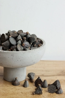 Přírodní plody Květ lotosu 5 ks 