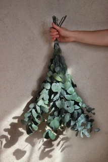 Stabilizovaný Eukalyptus Espir zelený