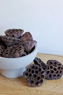 Přírodní plod Květ lotosu - velký 